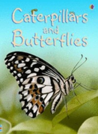 Caterpillars and Butterflies