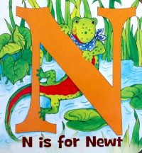 N is for Newt