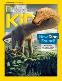 New Dino Found