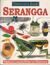 Serangga