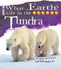 What on Earth? Life in the Tundra