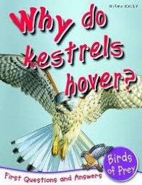 Why Do Kestrels Hovers?