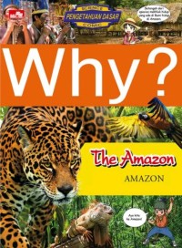 Why? The Amazon = Amazon