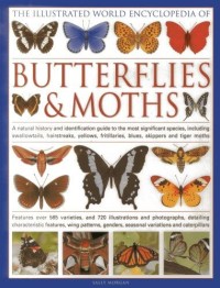 The Illustrated World Encyclopedia of Butterflies & Moths