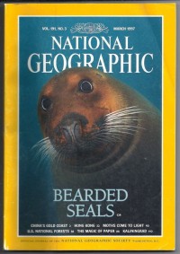 Bearded Seals