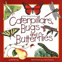 Caterpillars, Bugs and Butterflies