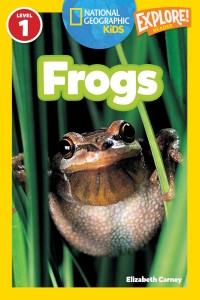 Frogs!