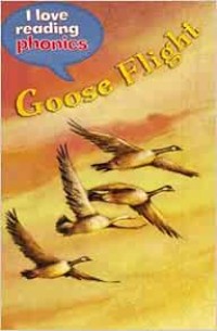 Goose Flight