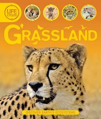 Grassland