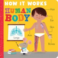 Human Body