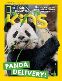 Panda Delivery!