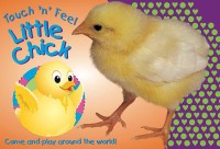 Touch n Feel Little Chick