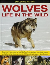 Wolves Life in The Wild