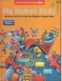 Image of My Human Body Amazing Facts and How the Digestive System Work: Digestive System